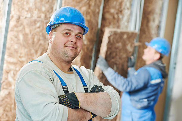 Best Basement Insulation  in Gainesville, FL